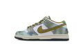 Nike SB Dunk Low Alexis Sablone Chameleon Reps Sneakers HJ3386-300